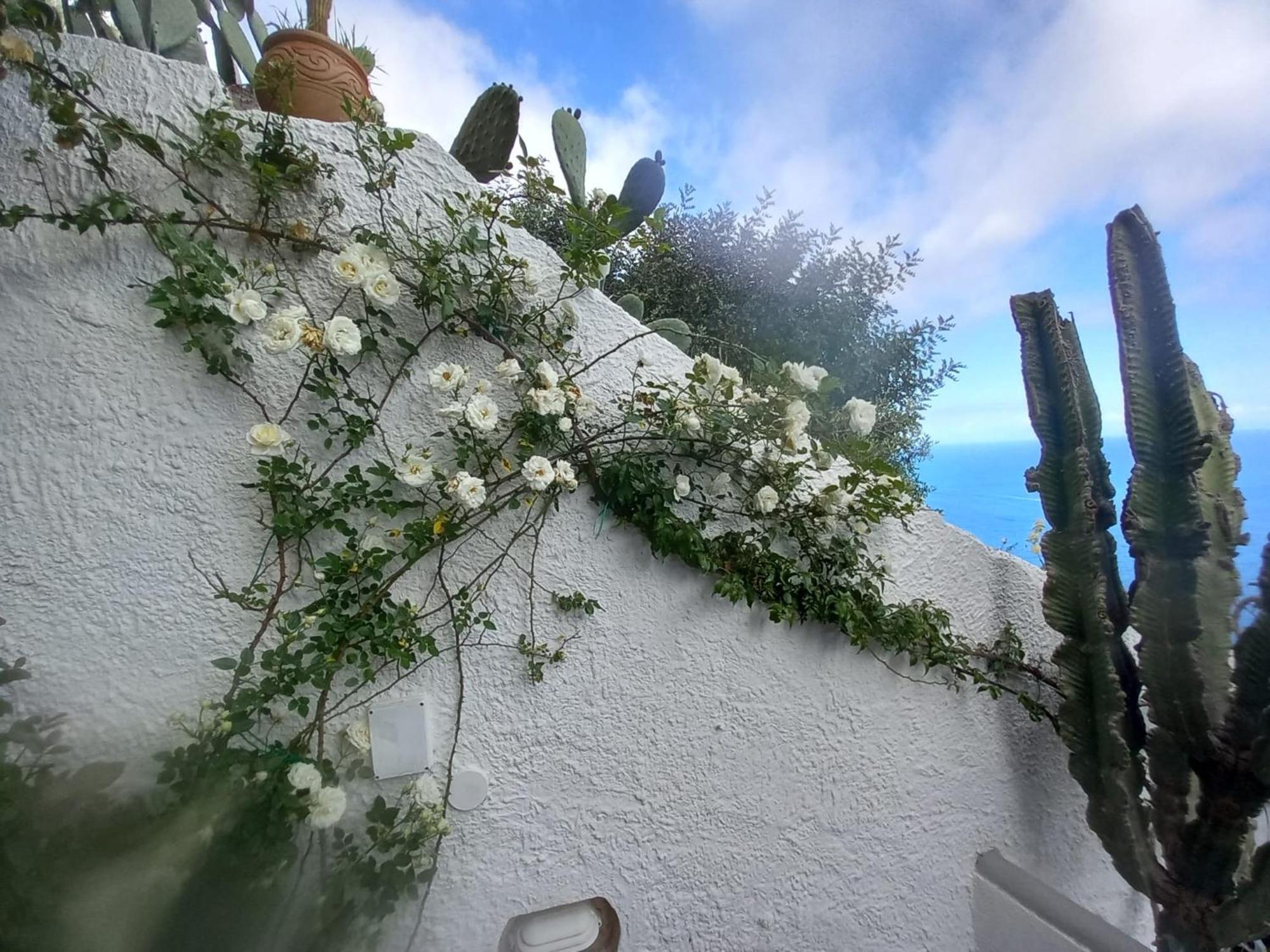 Casa Reverie - Amalfi Coast Villa Praiano Eksteriør bilde